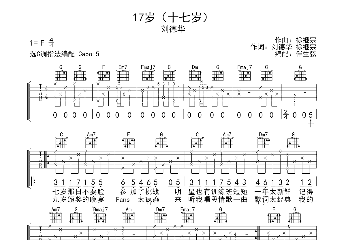 十七岁吉他谱预览图