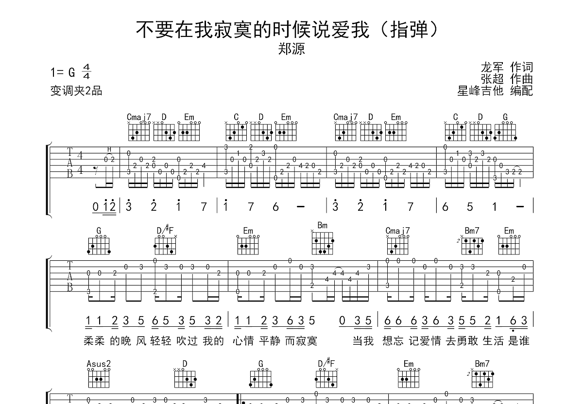 不要在我寂寞的时候说爱我吉他谱预览图