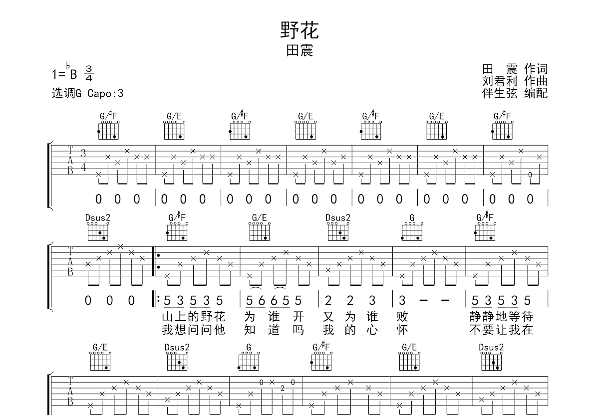 野花吉他谱预览图