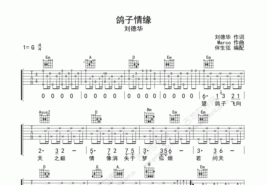 鸽子情缘吉他谱预览图