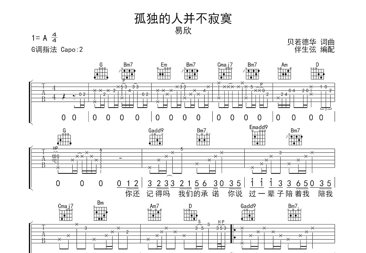 孤独的人并不寂寞吉他谱预览图
