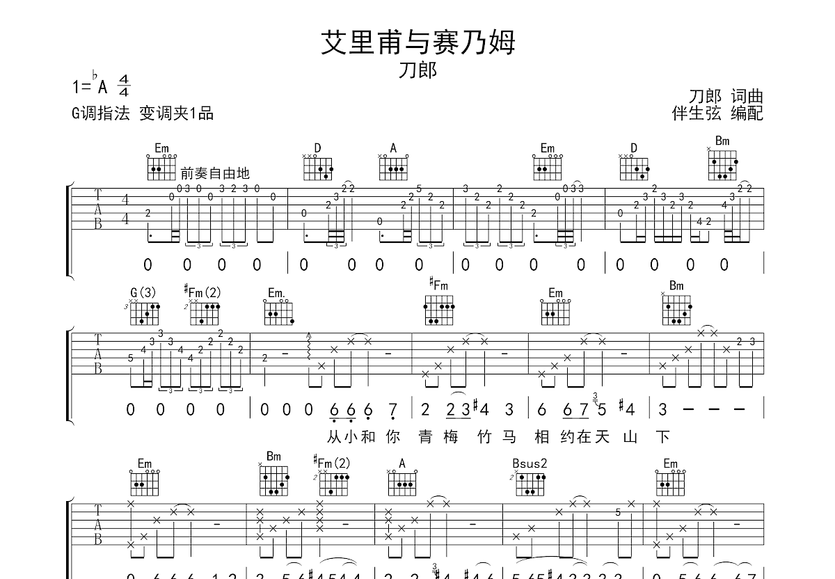 艾里甫与赛乃姆吉他谱预览图