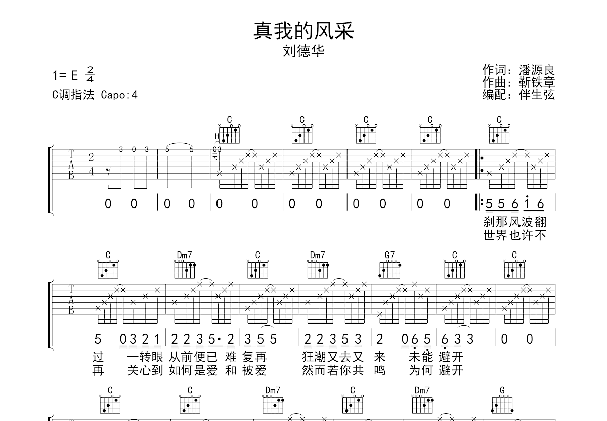 真我的风采吉他谱预览图