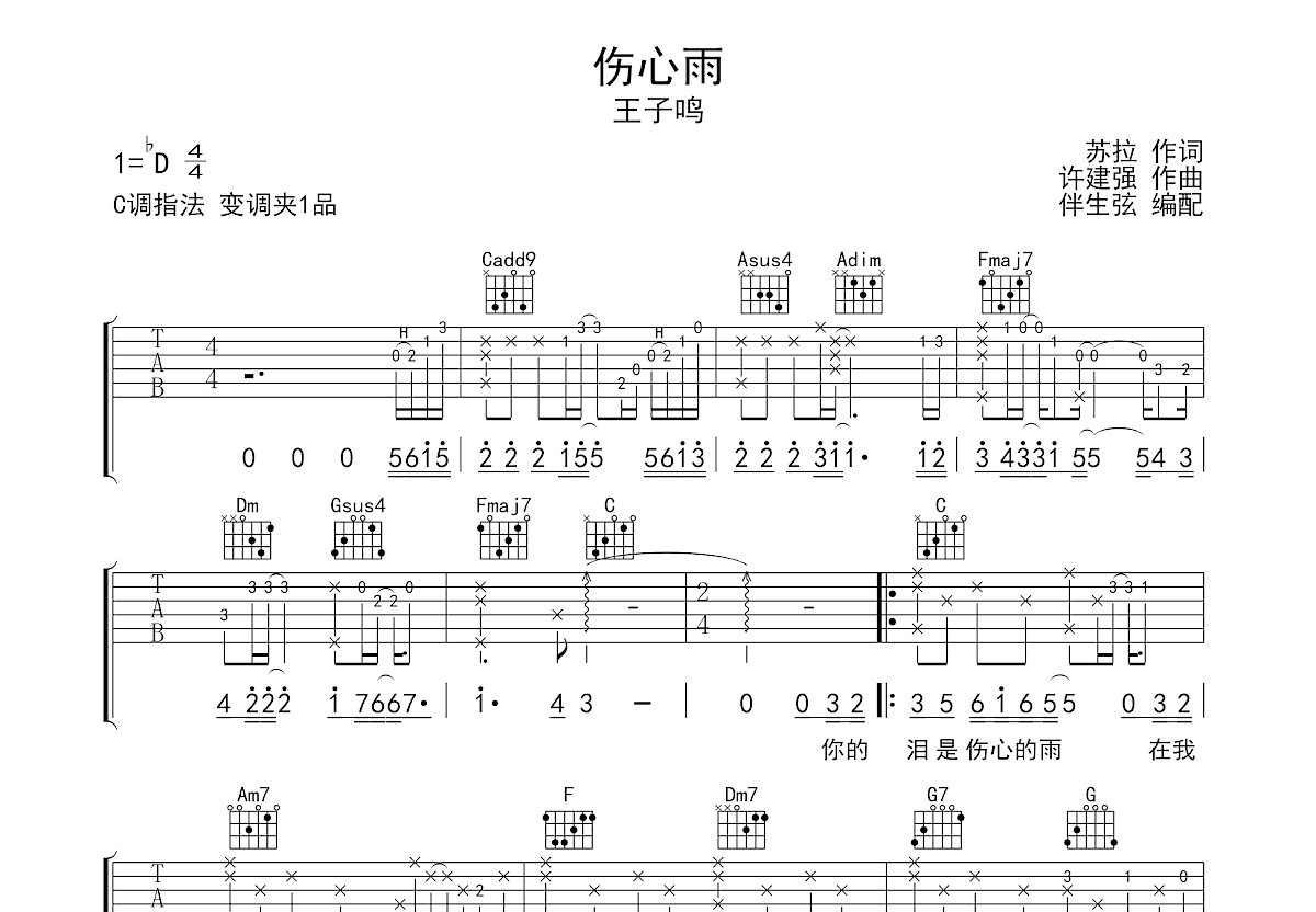 伤心雨吉他谱预览图