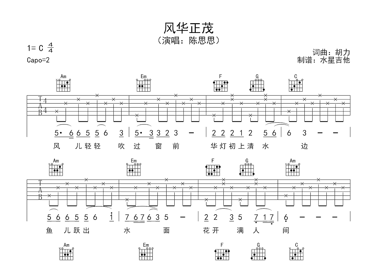 风华正茂吉他谱预览图