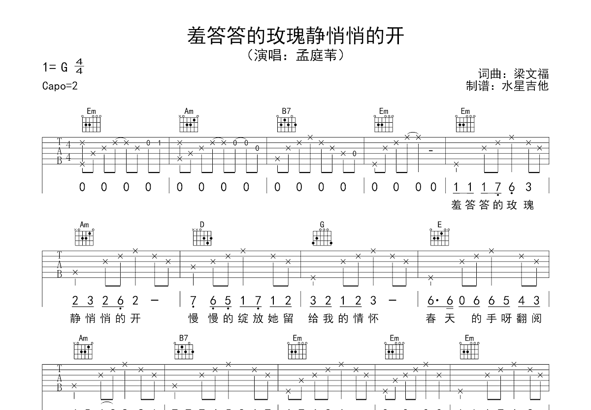 羞答答的玫瑰静悄悄的开吉他谱预览图