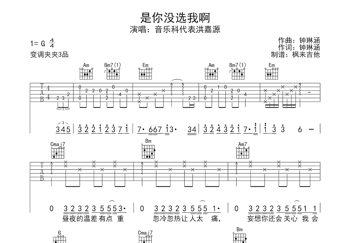 是你没选我啊吉他谱预览图