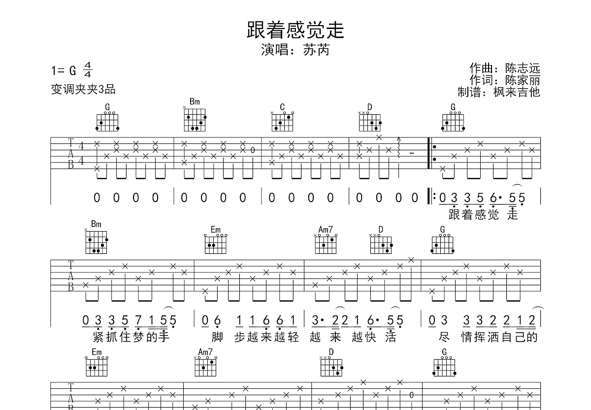 跟着感觉走吉他谱预览图