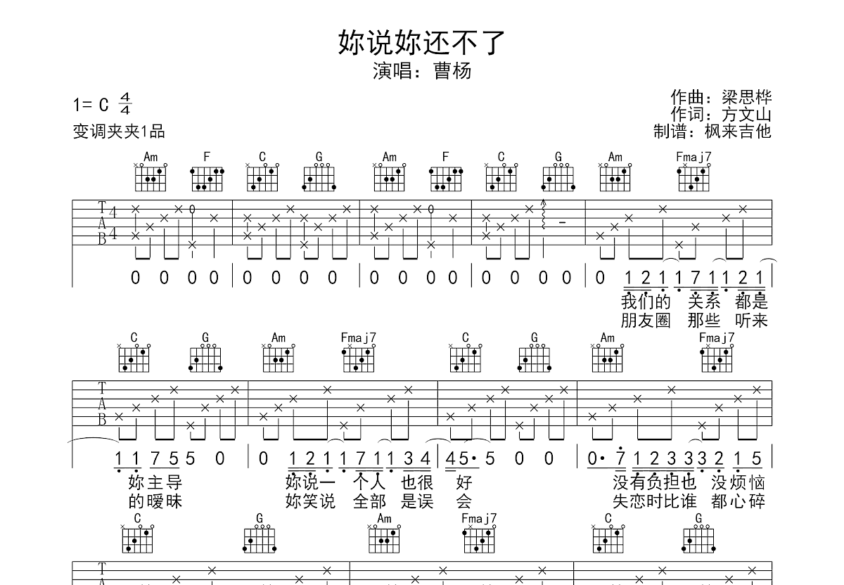 妳说妳还不了吉他谱预览图