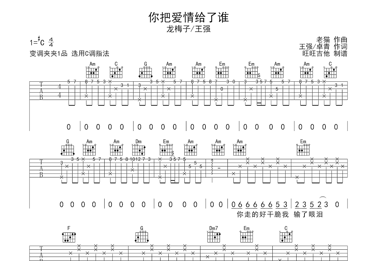 你把爱情给了谁吉他谱预览图