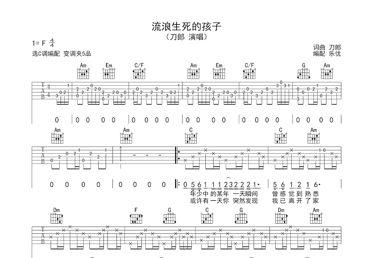 流浪生死的孩子吉他谱预览图