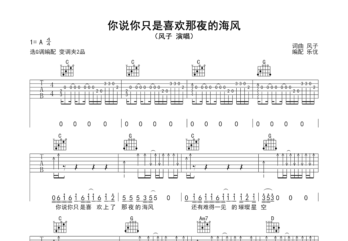 你说你只是喜欢那夜的海风吉他谱_风子_G调弹唱
