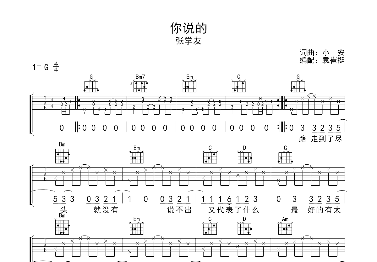 你说的吉他谱预览图