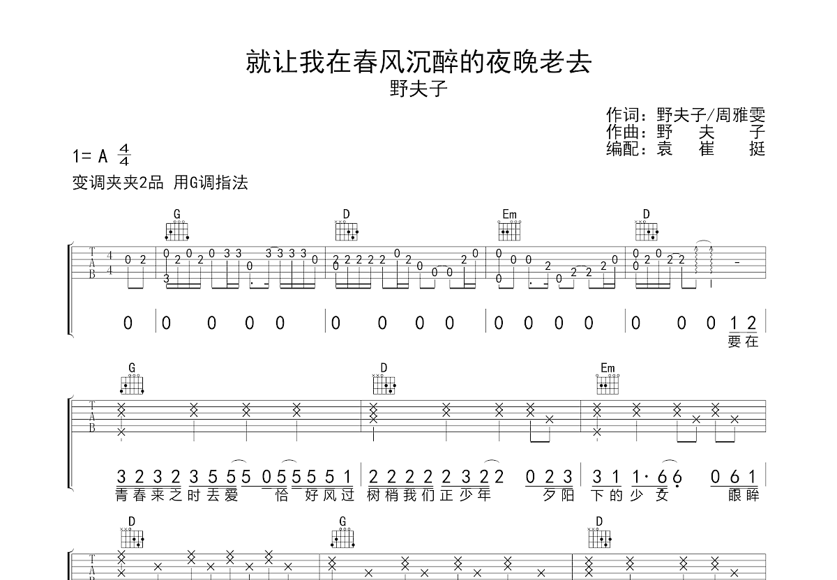 就让我在春风沉醉的夜晚老去吉他谱预览图