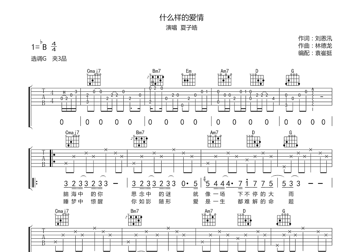 什么样的爱情吉他谱预览图