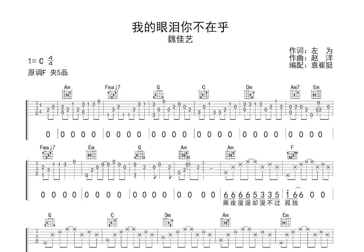 我的眼泪你不在乎吉他谱预览图