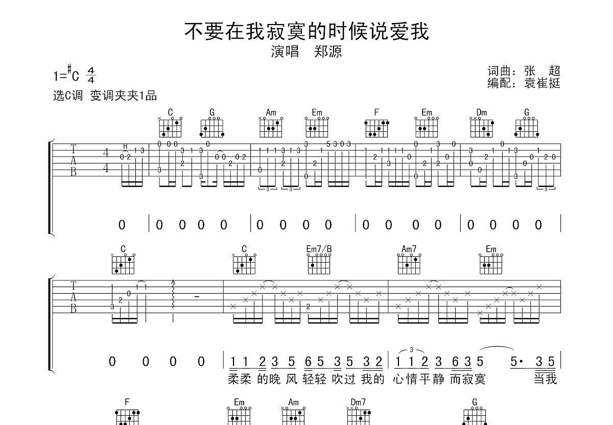 不要在我寂寞的时候说爱我吉他谱预览图