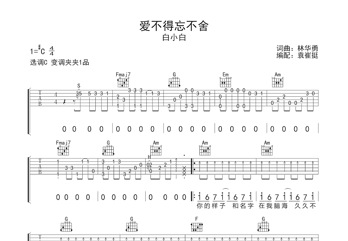 爱不得忘不舍吉他谱预览图