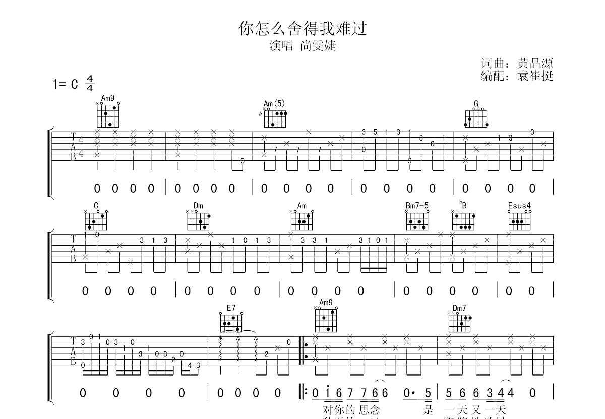 你怎么舍得我难过吉他谱预览图