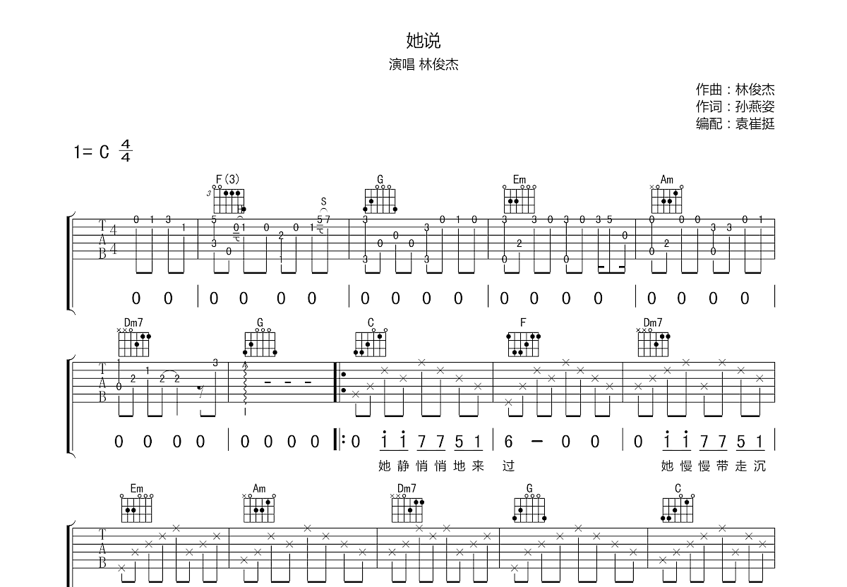 她说吉他谱预览图