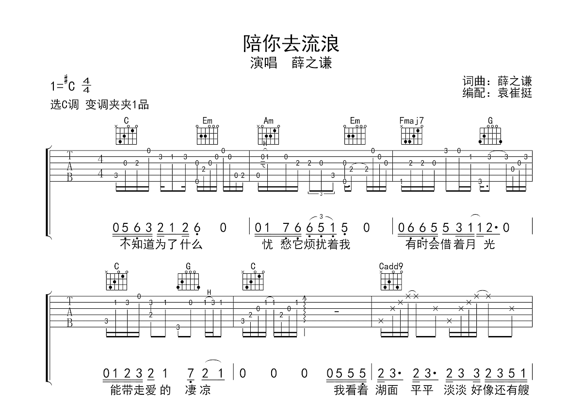 陪你去流浪吉他谱预览图