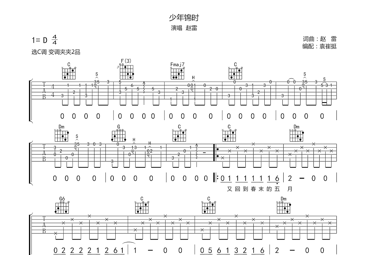 少年锦时吉他谱预览图