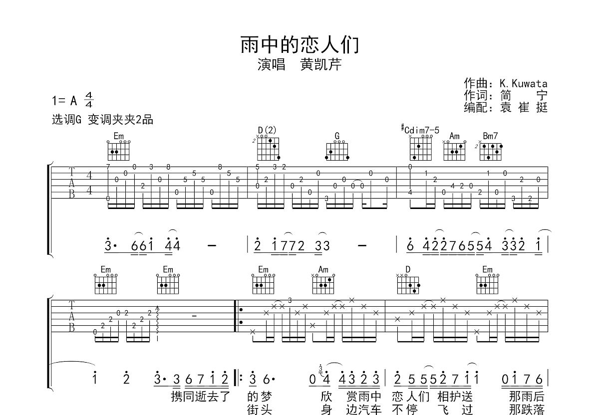 雨中的恋人们吉他谱预览图