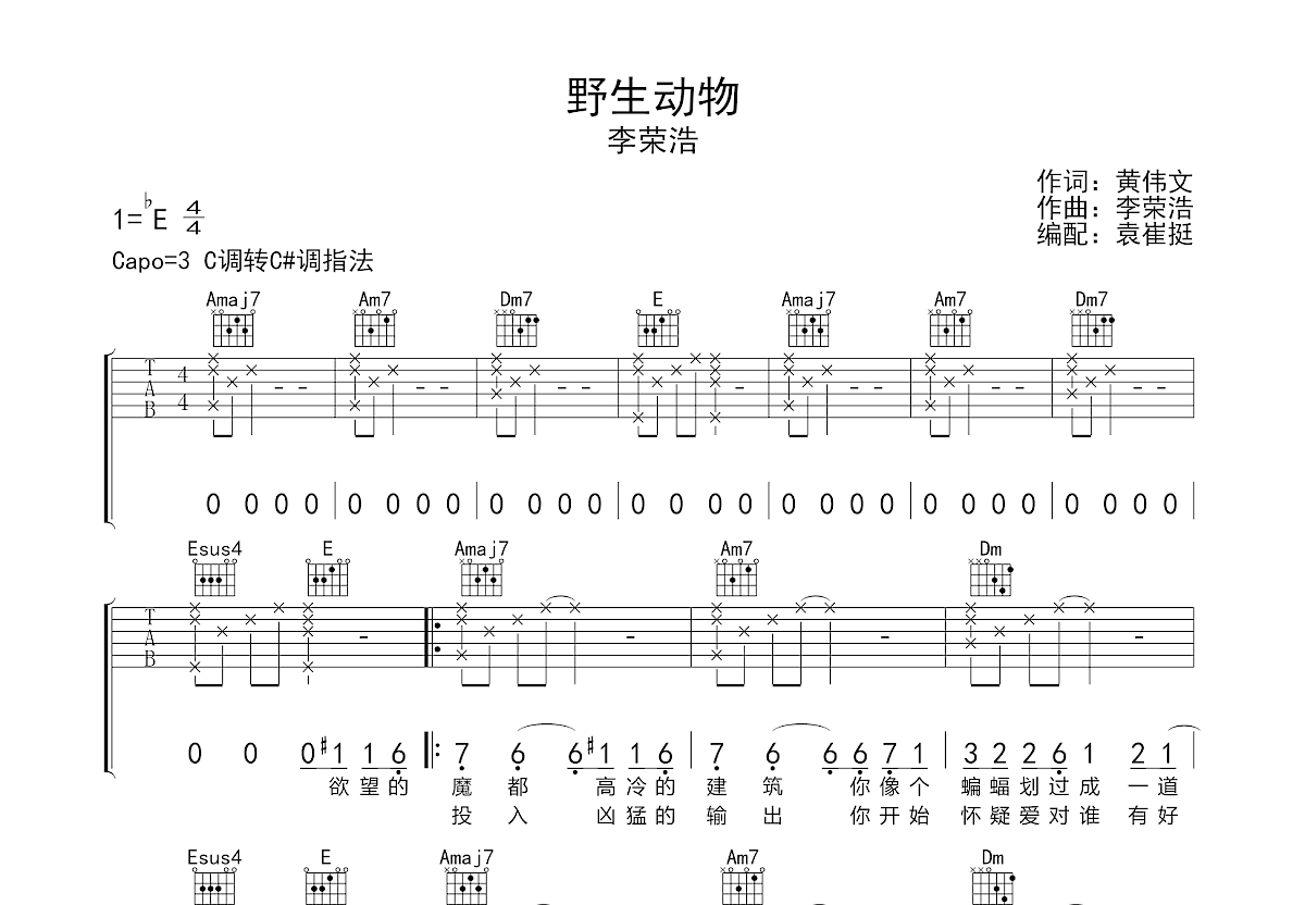 野生动物吉他谱预览图