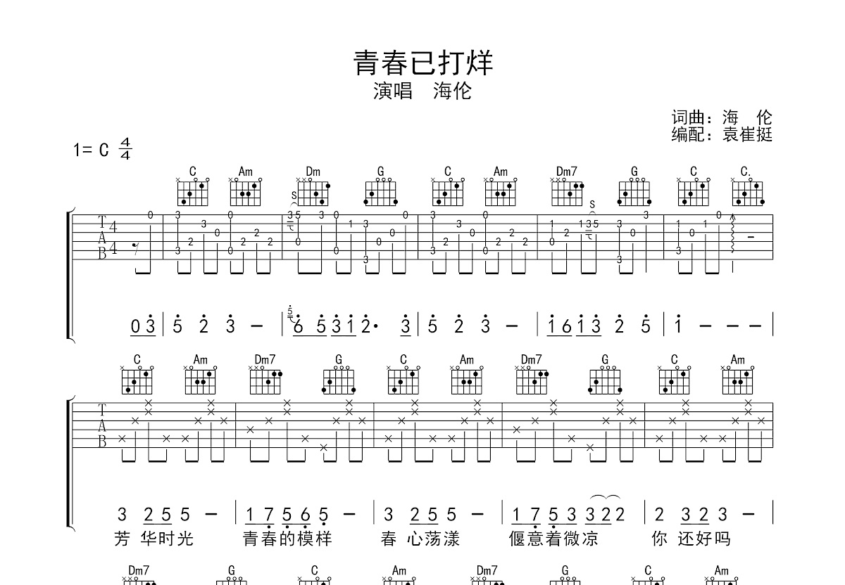 青春已打烊吉他谱预览图