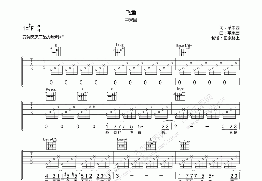 飞鱼吉他谱预览图