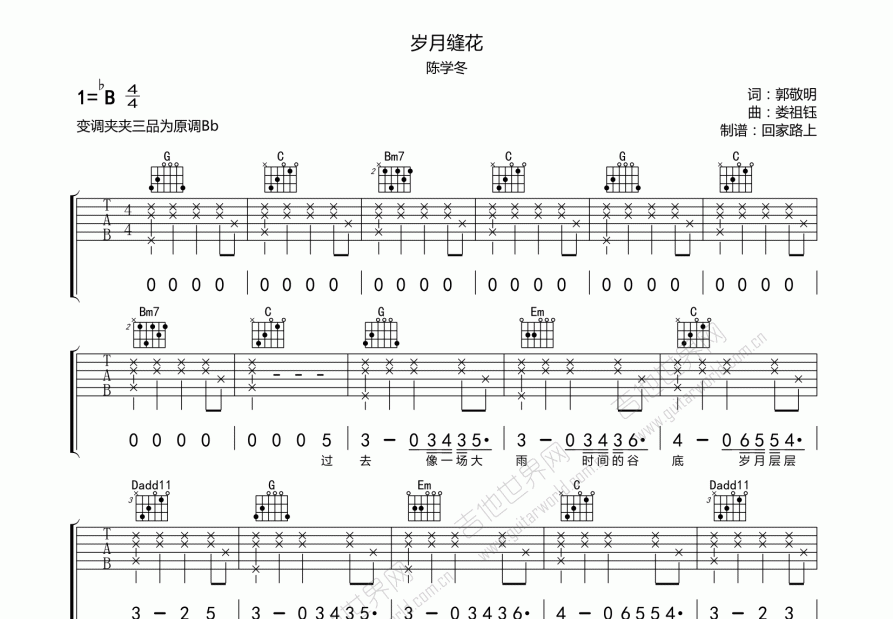 岁月缝花吉他谱预览图