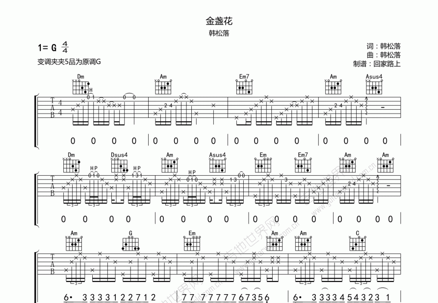 金盏花吉他谱预览图