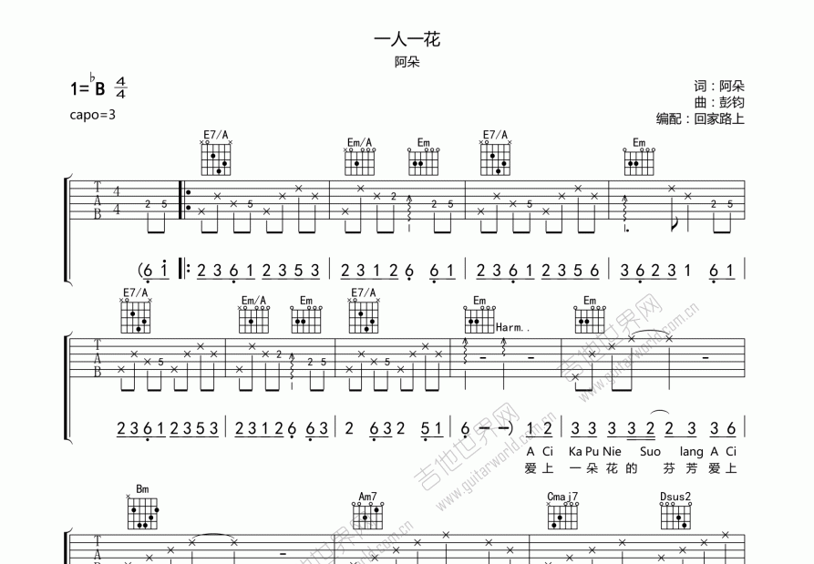 一人一花吉他谱预览图