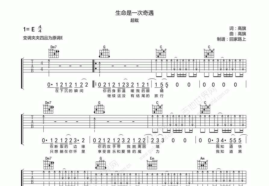 生命是一次奇遇吉他谱预览图