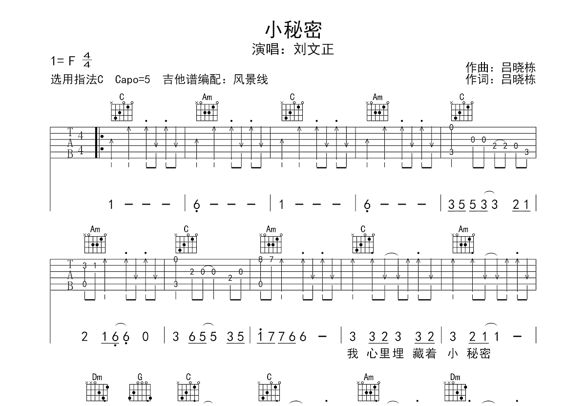 小秘密吉他谱_刘文正_C调弹唱