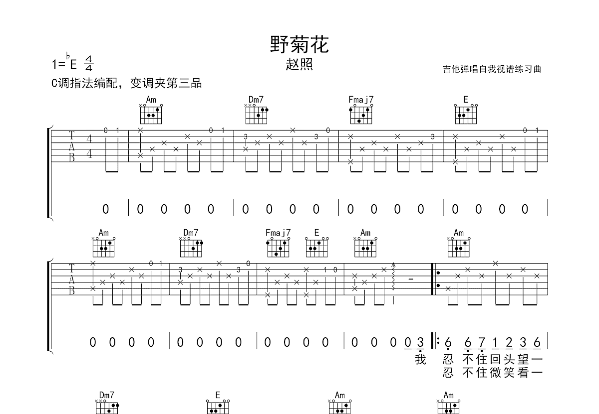 野菊花吉他谱_赵照_C调弹唱