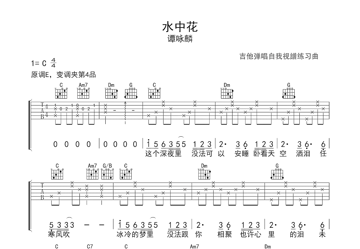 水中花吉他谱预览图