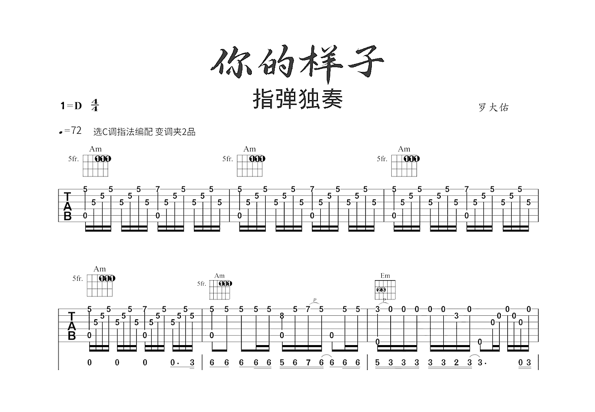 你的样子吉他谱_罗大佑_C调指弹