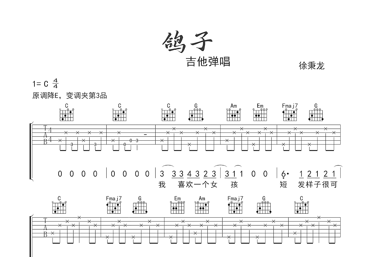 鸽子吉他谱预览图