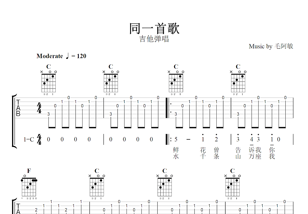 同一首歌吉他谱_毛阿敏_C调弹唱