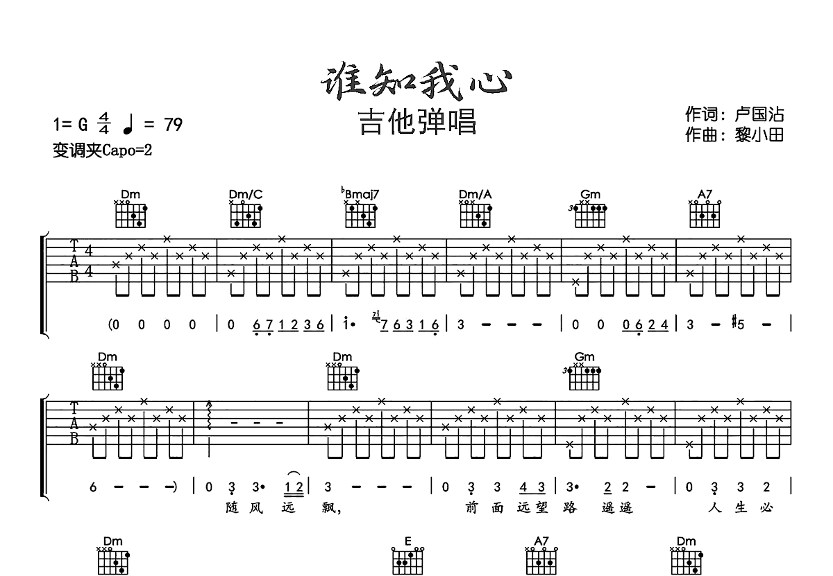 谁知我心吉他谱预览图