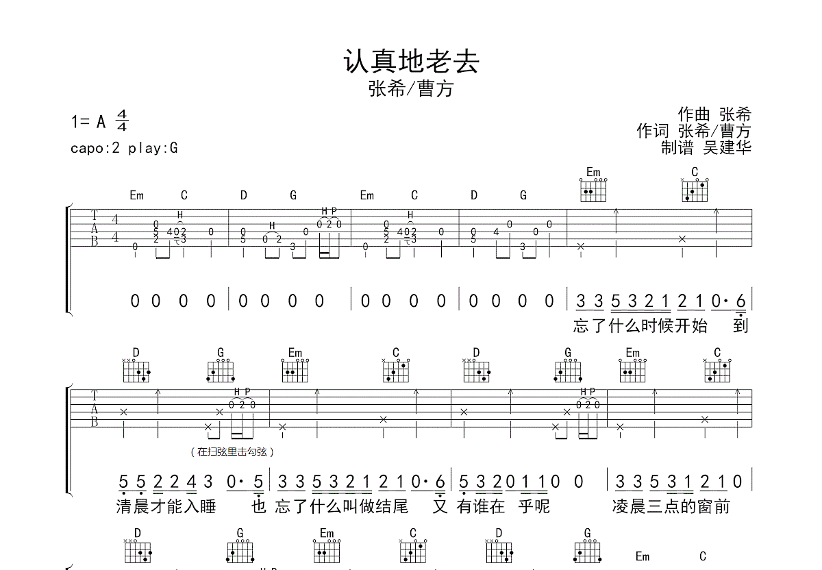 认真地老去吉他谱预览图