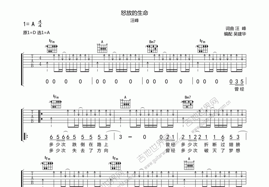 怒放的生命吉他谱预览图