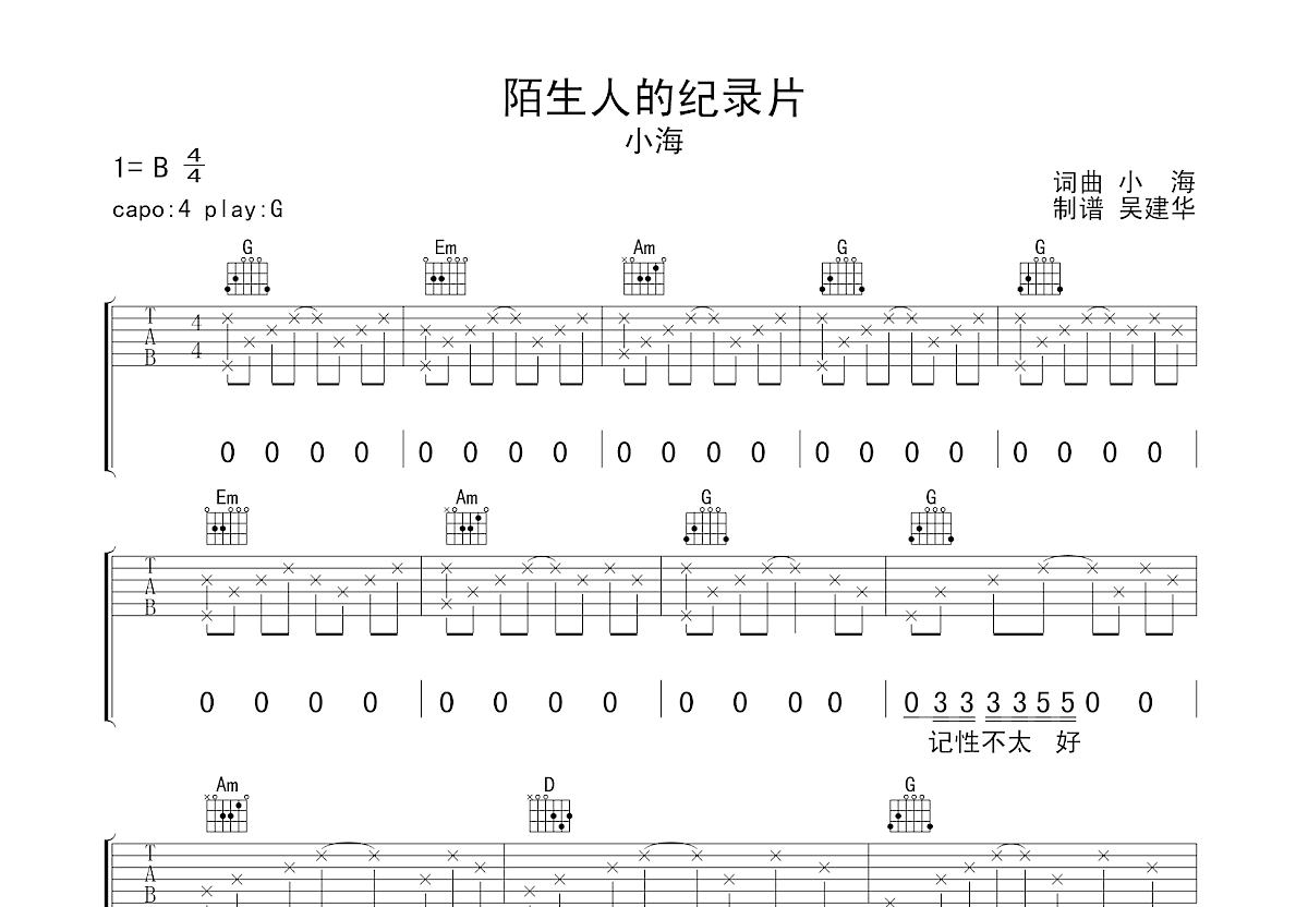 陌生人的纪录片吉他谱预览图