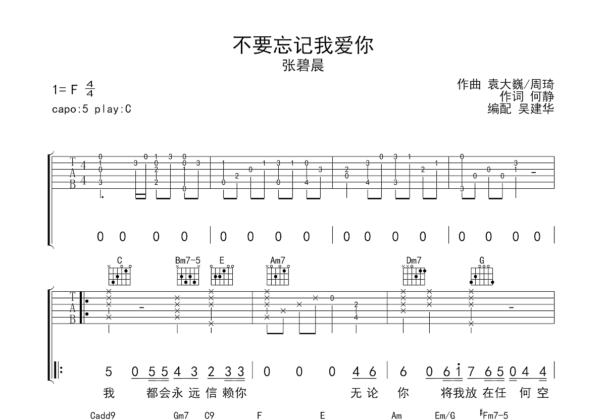 不要忘记我爱你吉他谱预览图