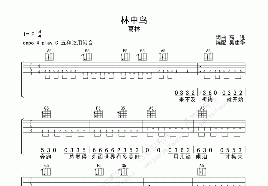 林中鸟吉他谱预览图