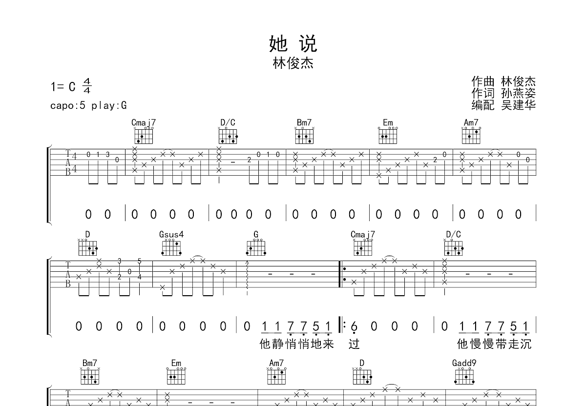 她说吉他谱预览图