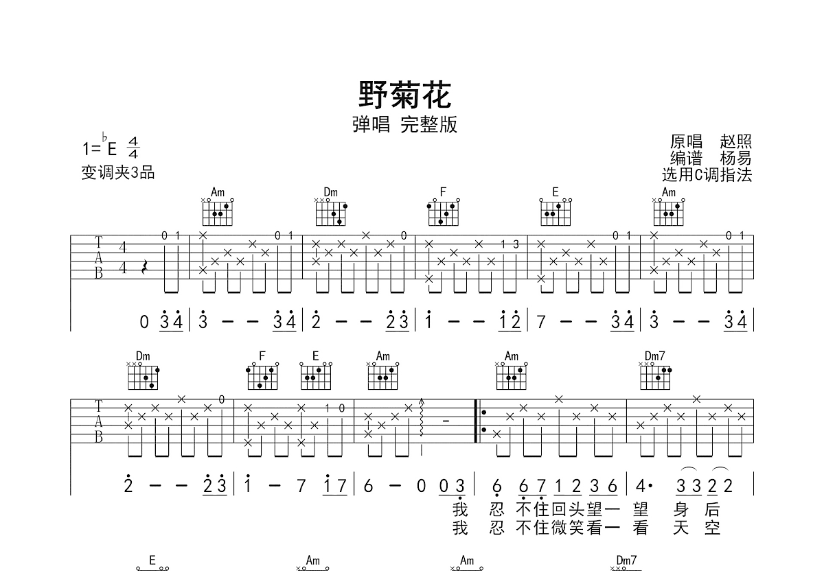 野菊花吉他谱预览图