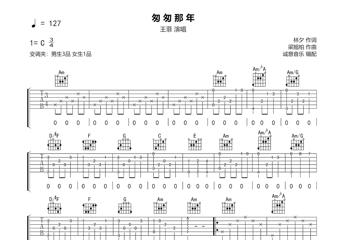匆匆那年吉他谱_王菲_C调弹唱