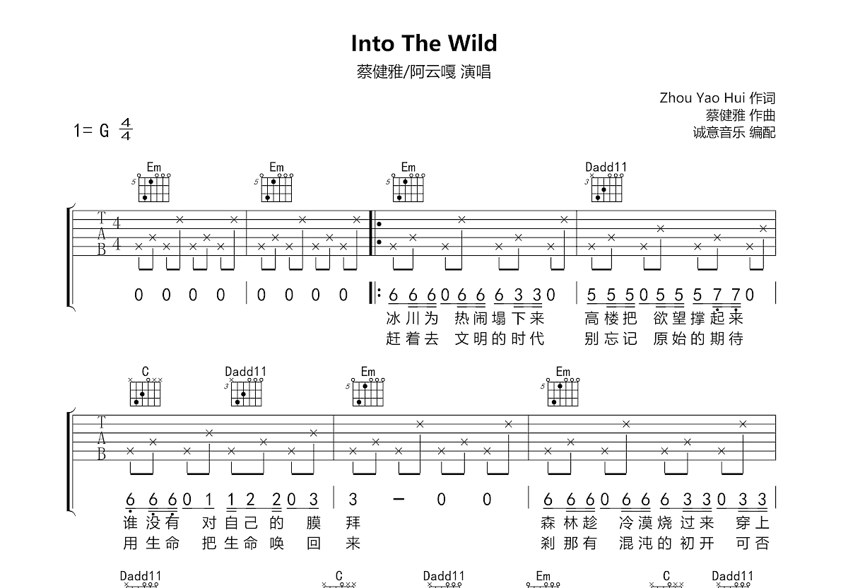 Into The Wild吉他谱预览图